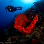 034curacao_kadu