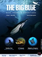 capa_bigblue01