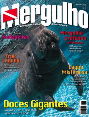 capa_mergulho176