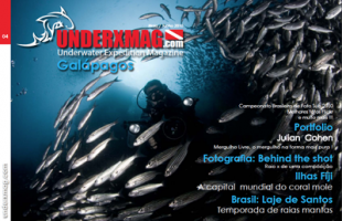 capa_underx04