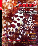 capa_underx09