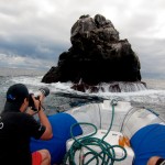 galapagos_galera_0007 Fotografando os lobos marinhos