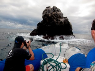 Fotografando os lobos marinhos