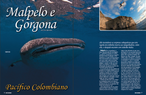 malpelo01
