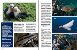 malpelo02