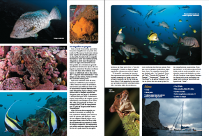 malpelo03