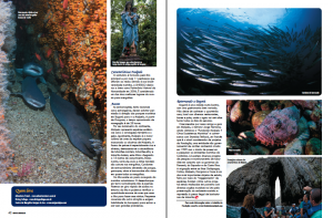 malpelo04