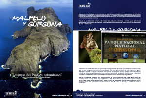 malpelo_big01