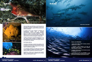 malpelo_big03