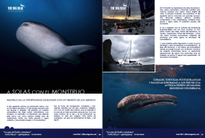 malpelo_big04