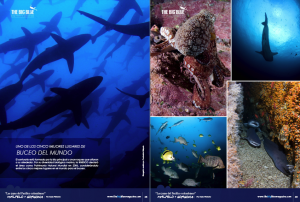 malpelo_big05
