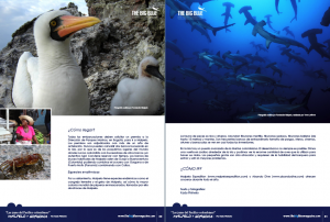 malpelo_big06