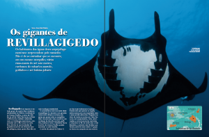 revillagigedo01