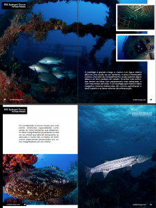 spiegel_11underx_03